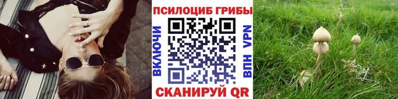 darknet наркотические препараты  Печоры  Псилоцибиновые грибы GOLDEN TEACHER 